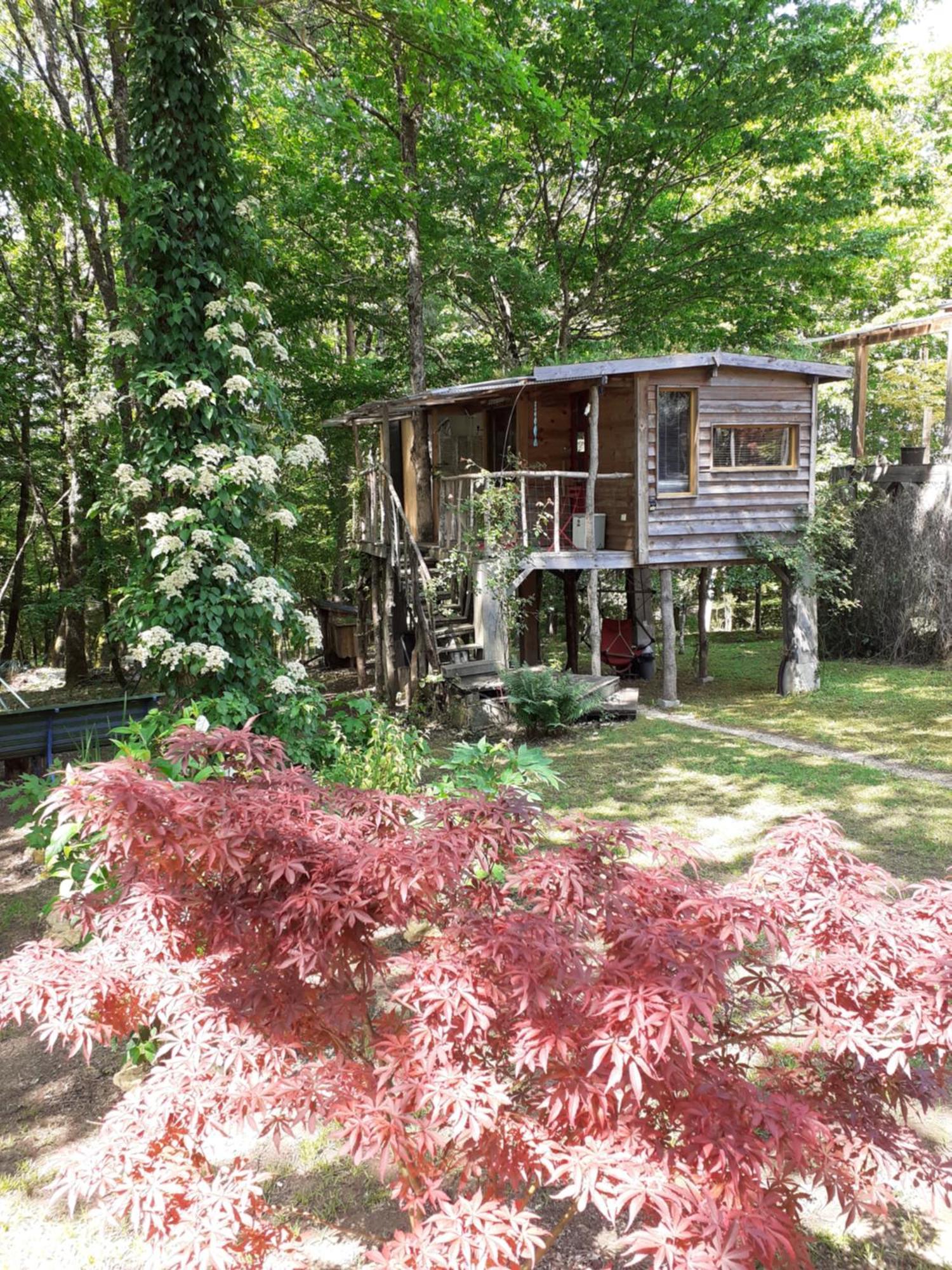 La Cabane De L'Oiseau Couze-et-Saint-Front Exterior foto